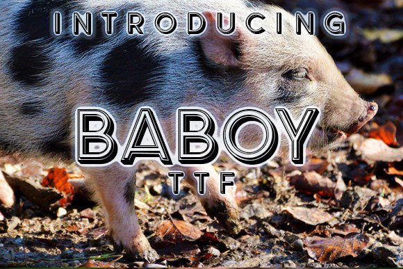 Baboy Font: Stylish 3D Typeface